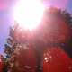 Image for article titled Shooting Challenge: Lens Flare Gallery Part One